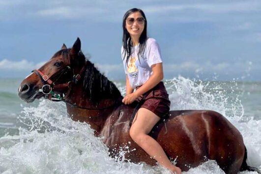 โรงเรียนสอนขี่ม้า เล่นน้ำริมทะเลกับม้า ภูเก็ต International Horse Club