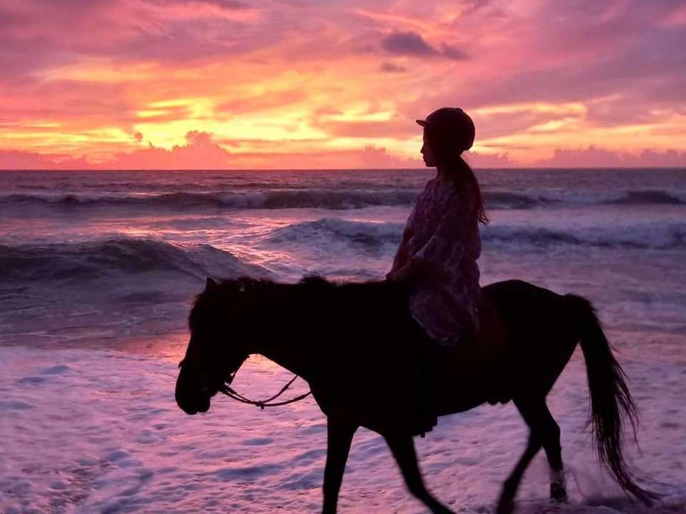 ภูเก็ต-ขี่ม้า-ริมทะเล-ชมพระอาทิตย์ตก-horse-riding