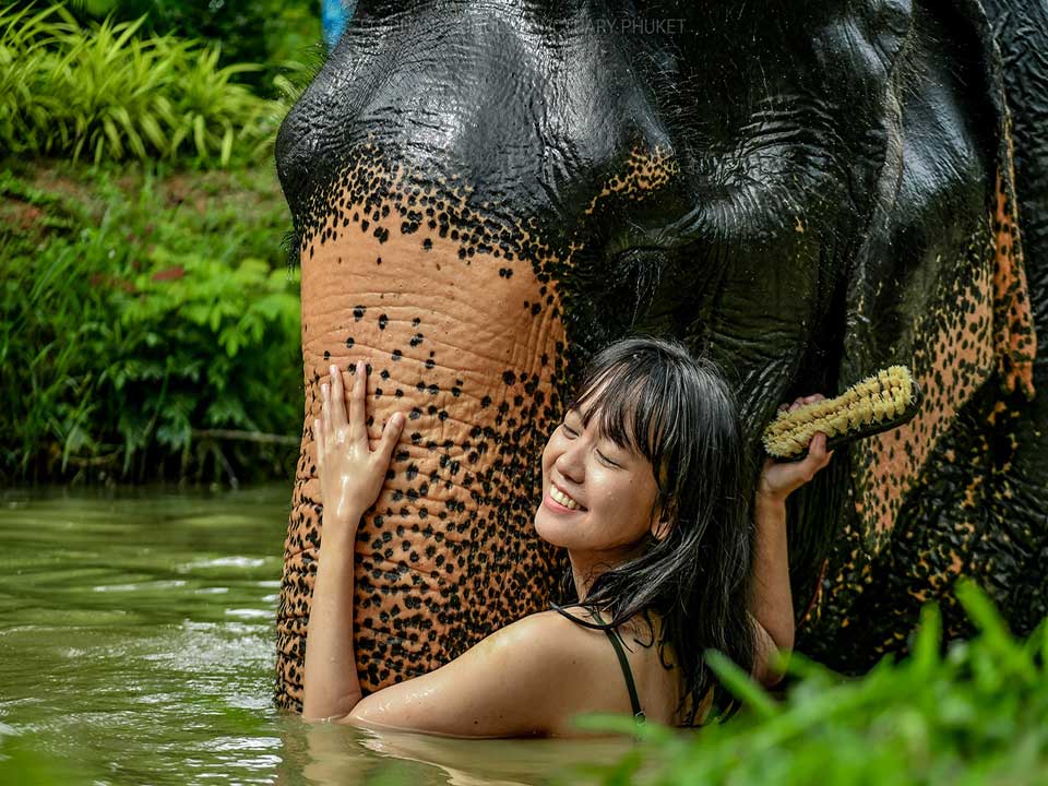 Elephant-jungle-sanctuary-ทัวร์อาบน้ำช้าง