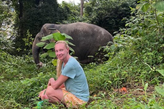 วันเดย์ทัวร์-ภูเก็ต-ศึกษา-เดินป่า-ดูช้าง-Elephant-jungle-sanctuary