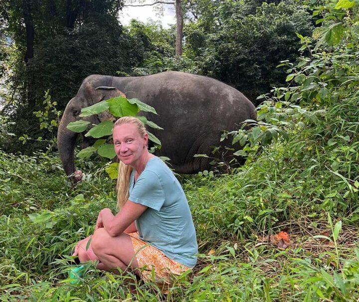 วันเดย์ทัวร์-ภูเก็ต-ศึกษา-เดินป่า-ดูช้าง-Elephant-jungle-sanctuary