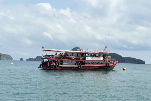 สมุย-ทัวร์-อุทยานหมู่เกาะอ่างทอง-เรือใหญ่-เต็มวัน