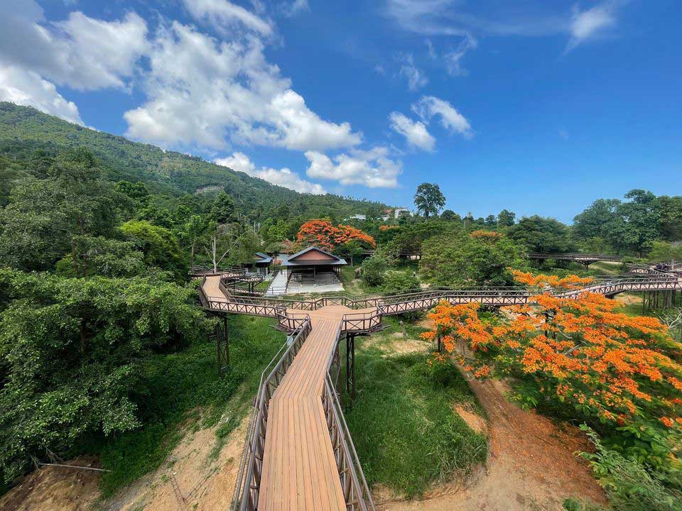 อาณาจักรแคมป์ช้าง-เกาะสมุย-Elephant-Kingdom-Samui