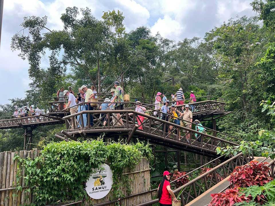 เที่ยวชมอาณาจักรช้าง-เอเลเฟ่น-คิงดอม-เกาะสมุย-elephant-kingdom-4