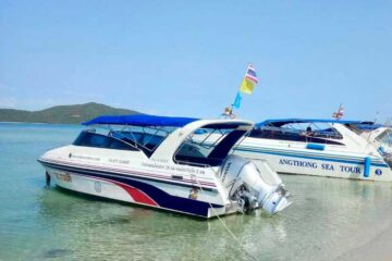 เรือสปีดโบ๊ท-ทัวร์ล่องเรือชมโลมาสีชมพู-อ่าวขนอม-เกาะแตน-เกาะหมู