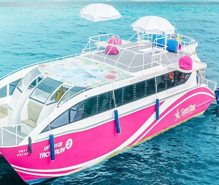 เรือสปีดคาตามารัน-สองท้อง-ทัวร์เกาะพีพี-อ่าวมาหยา-เกาะไข่-ซีสตาร์-2
