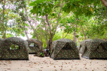 แพคเกจ-นอนกางเต้น-ค้างคืน-หมู่เกาะสุรินทร์