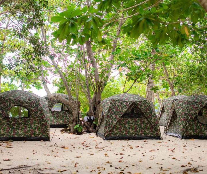 แพคเกจ-นอนกางเต้น-ค้างคืน-หมู่เกาะสุรินทร์