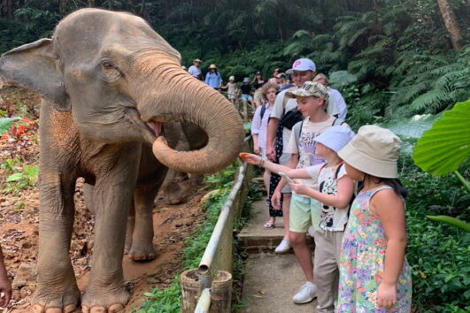 พังงา-เขาหลัก-ให้อาหาร-อาบน้ำช้าง-Elephant-Jungle-Sanctuary