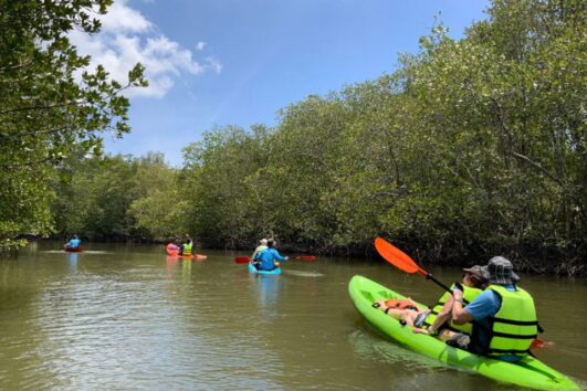 เกาะยาวใหญ่-ทัวร์พายเรือคายัค-ชมป่าโกงกาง-Koh-Yao-Explore