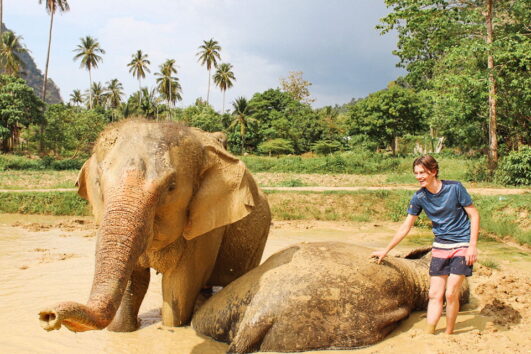 กระบี่-อ่าวนาง-ทัวร์ครึ่งวันปางช้าง-Aonang-Elephant-Sanctuary-2