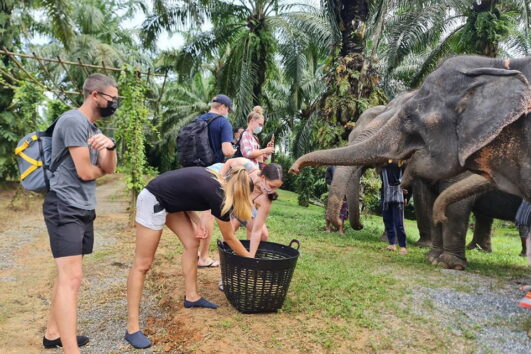 กระบี่-ให้อาหารช้าง-สปาโคลน-อาบน้ำช้าง-Elephant-House-Sanctuary-2