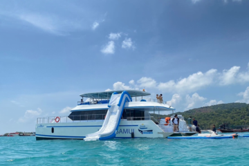 สมุย-ทัวร์ชมโลมา-เกาะหมู-ดำน้ำตื้น-เกาะแตน-โดยเรือ-Catamaran-13