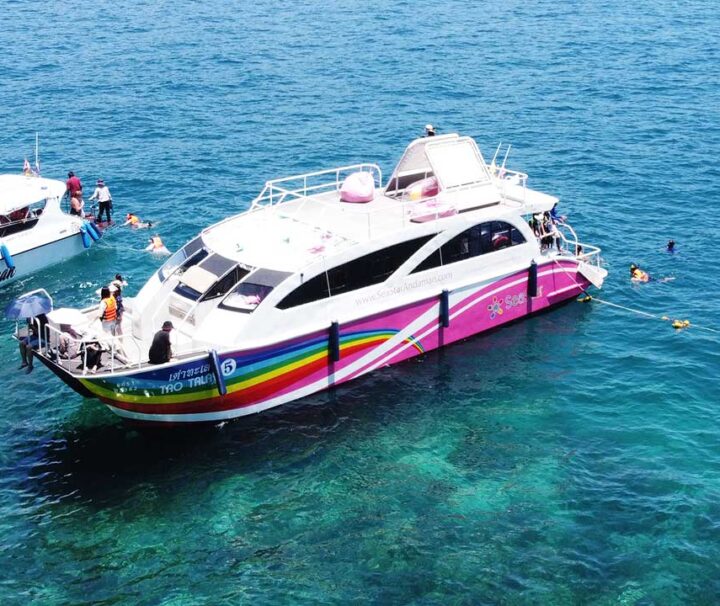 เขาหลัก-ทัวร์หมู่เกาะสิมิลัน-รอบสาย-เรือคาตามารัน-2-ชั้น-Catamaran